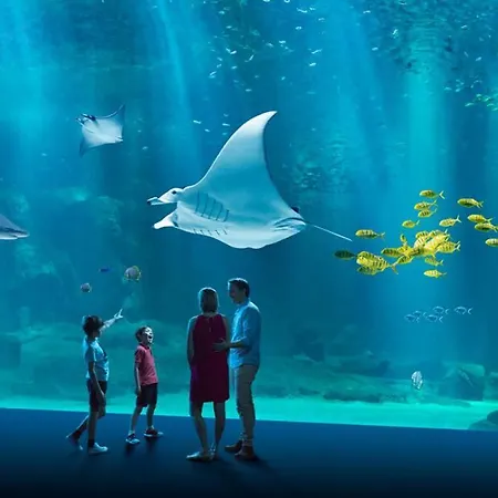 Σπίτι διακοπών Les Tournaisiens, A 2 Pas De Wimereux Wimille