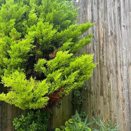 Les Tournaisiens, A 2 Pas De Wimereux Σπίτι διακοπών *